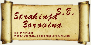 Strahinja Borovina vizit kartica